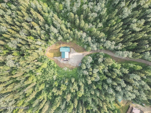 1685 Taroka Dr, Fairbanks, AK 99709 - aerial view of property's location