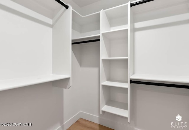 1401 E Holland Ave, Wasilla, AK 99654 - spacious closet with wood finished floors