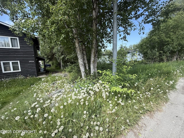 3910 Lynn Dr, Anchorage, AK 99508