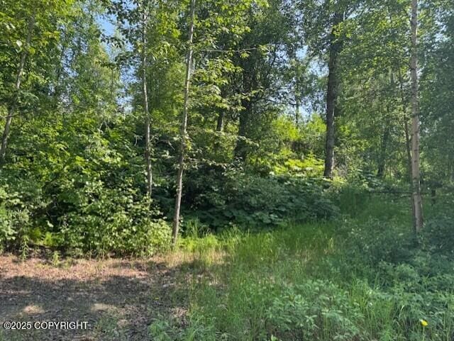 39578 S Malaspina Loop, Talkeetna, AK 99676