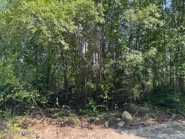 39578 S Malaspina Loop, Talkeetna, AK 99676