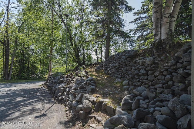 15021 Old Seward Hwy, Anchorage, AK 99516 - view of local wilderness