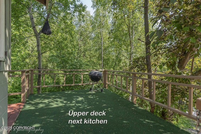 15021 Old Seward Hwy, Anchorage, AK 99516 - view of yard
