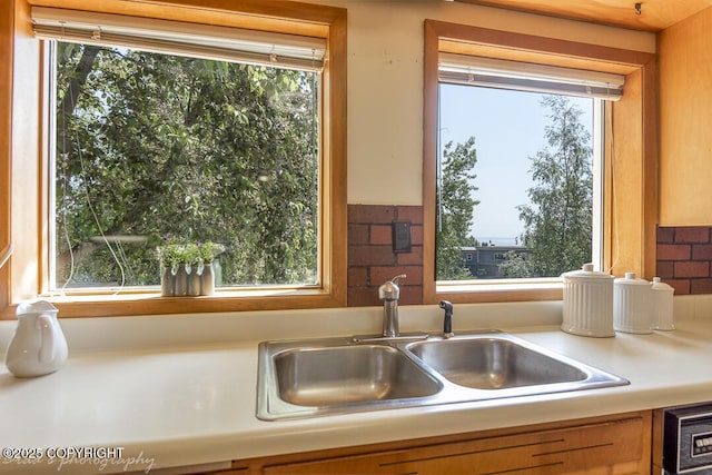 15021 Old Seward Hwy, Anchorage, AK 99516 - kitchen with light countertops, healthy amount of natural light, and dishwasher