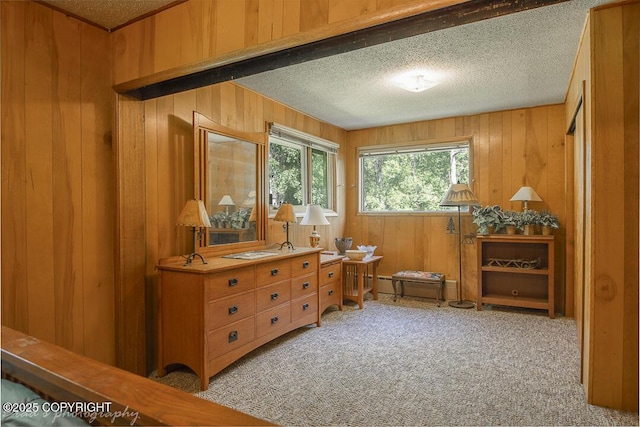 15021 Old Seward Hwy, Anchorage, AK 99516 - sitting room with wooden walls, light colored carpet, and a textured ceiling