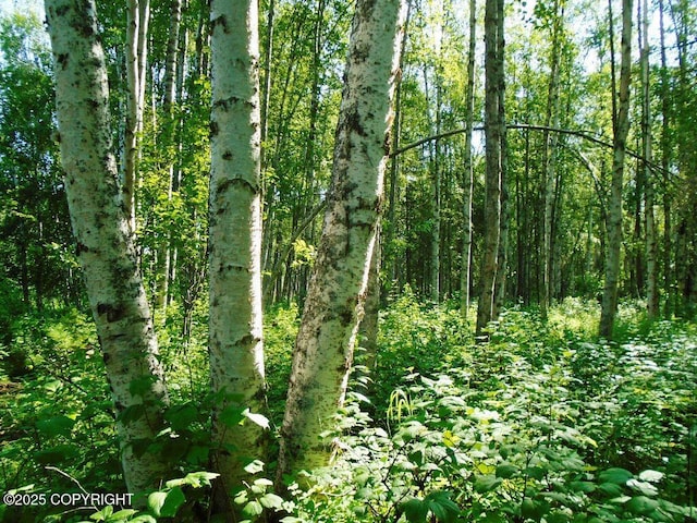 TrG Parks Highway, Talkeetna, AK 99676