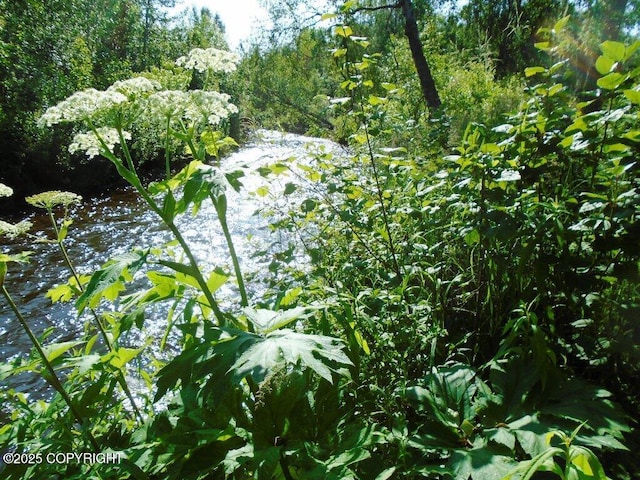 TrG Parks Highway, Talkeetna, AK 99676
