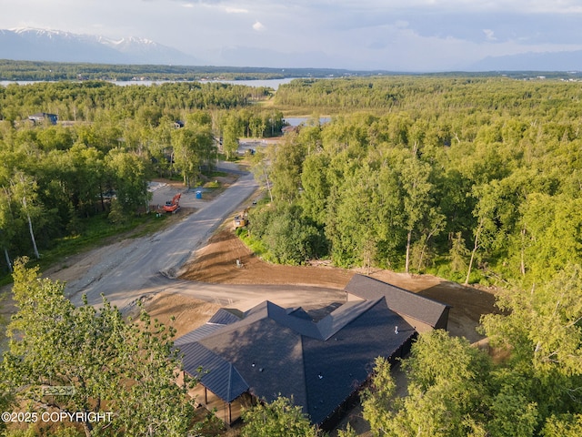 1770 S Corwin Ln, Wasilla, AK 99654 - drone / aerial view of a heavily wooded area