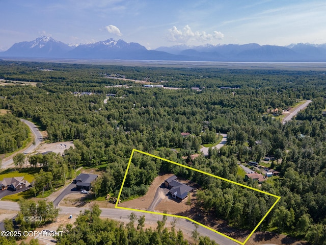 1770 S Corwin Ln, Wasilla, AK 99654 - aerial view of property and surrounding area with property parcel outlined