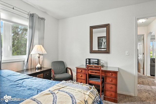 8203 Duben Ave, Anchorage, AK 99504 - bedroom with carpet floors, multiple windows, and arched walkways