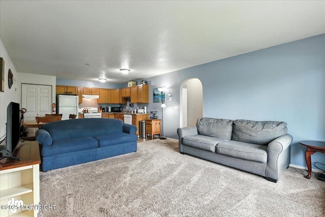 8203 Duben Ave, Anchorage, AK 99504 - living area with arched walkways and light carpet