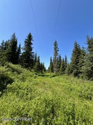 34718 N Fork Rd, Anchor Point, AK 99556