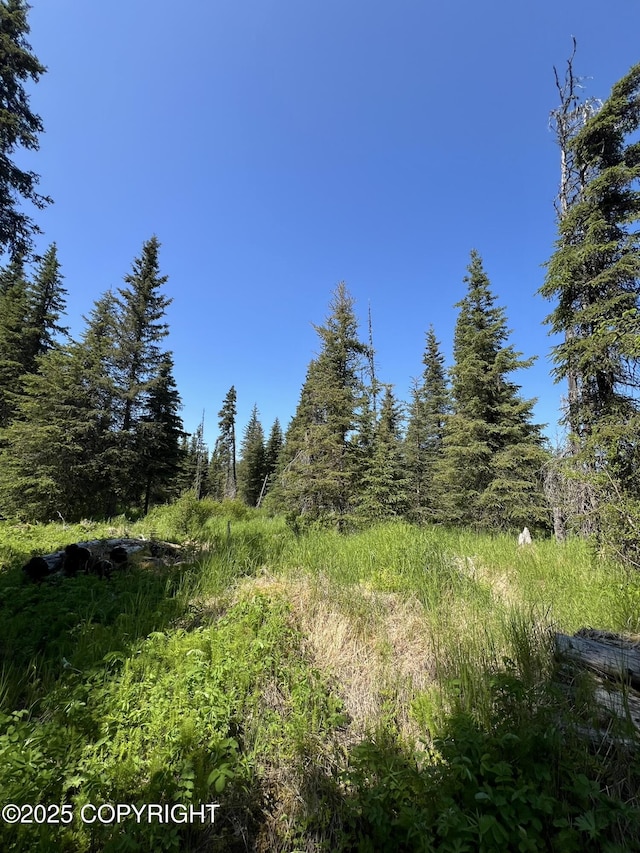 34718 N Fork Rd, Anchor Point, AK 99556