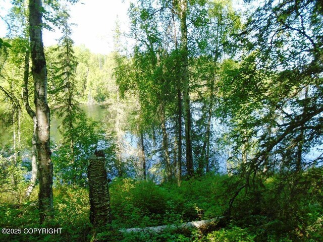 TractA W Big Lake, Big Lake, AK 99652 - photo 3