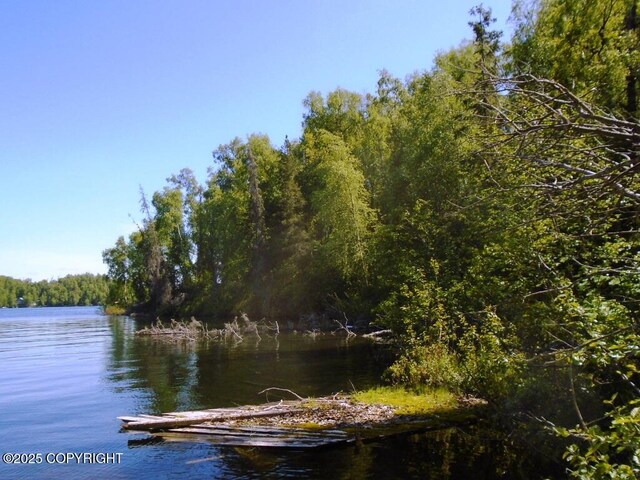 TractA W Big Lake, Big Lake, AK 99652 - photo 1