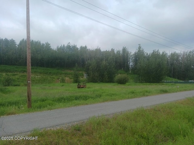 TRC S Maragret Dr, Palmer, AK 99645 - photo 3
