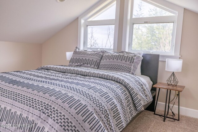 304 Eliason Loop, Sitka, AK 99835 - photo 31