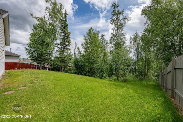 230 W Fallen Leaf Cir, Wasilla, AK 99654 - view of yard