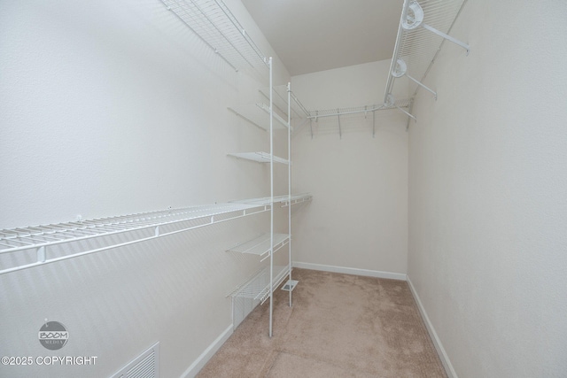 230 W Fallen Leaf Cir, Wasilla, AK 99654 - spacious closet featuring carpet floors