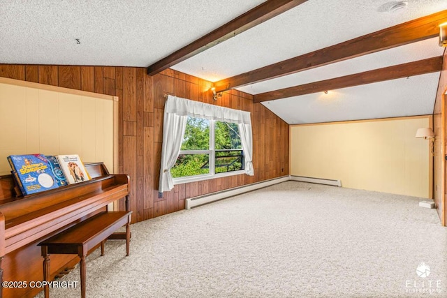 13440 Diggins Dr, Anchorage, AK 99515 - bonus room with wood walls, carpet, a textured ceiling, and a baseboard heating unit