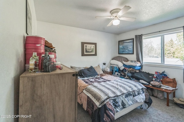 9820 Chelatna Cir, Anchorage, AK 99515 - photo 19