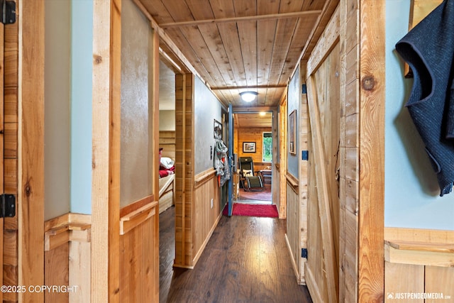 29416 W Deshka Landing Rd, Willow, AK 99688 - hallway with wood ceiling, dark wood finished floors, wainscoting, and wood walls