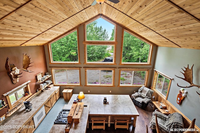 29416 W Deshka Landing Rd, Willow, AK 99688 - living area featuring wooden ceiling, hardwood / wood-style floors, a ceiling fan, and high vaulted ceiling