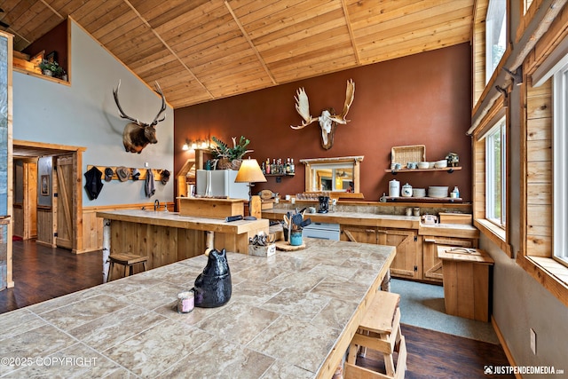 29416 W Deshka Landing Rd, Willow, AK 99688 - dining room with wood ceiling, high vaulted ceiling, and dark wood-style floors