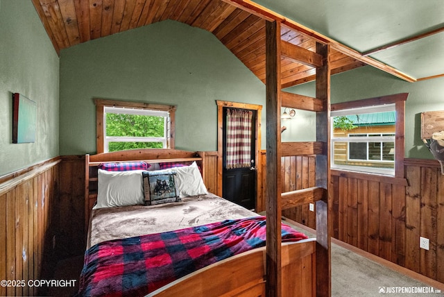 29416 W Deshka Landing Rd, Willow, AK 99688 - carpeted bedroom featuring wainscoting, wooden walls, and lofted ceiling