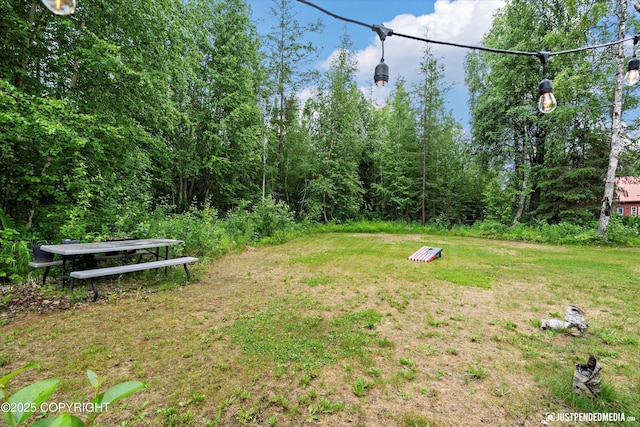 29416 W Deshka Landing Rd, Willow, AK 99688 - view of grassy yard
