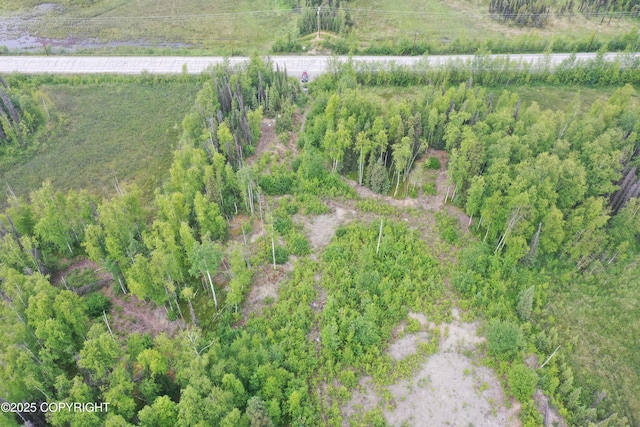 12376 W Hawk Ln, Big Lake, AK 99623 - photo 1