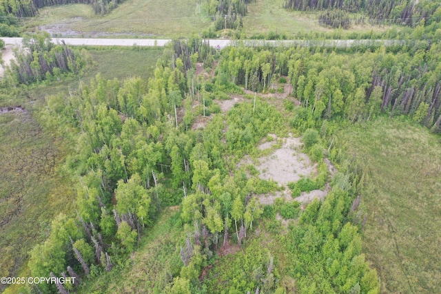 12376 W Hawk Ln, Big Lake, AK 99623 - photo 3
