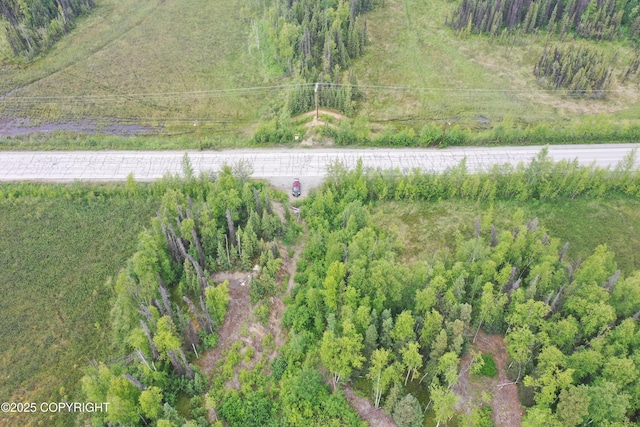 12376 W Hawk Ln, Big Lake, AK 99623 - photo 4