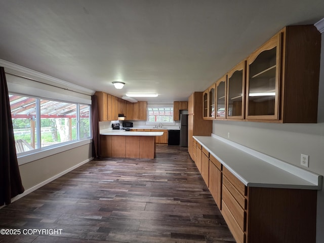 297 Mitkof Hwy, Petersburg, AK 99833 - kitchen with a peninsula, freestanding refrigerator, range with electric cooktop, dark wood finished floors, and glass insert cabinets