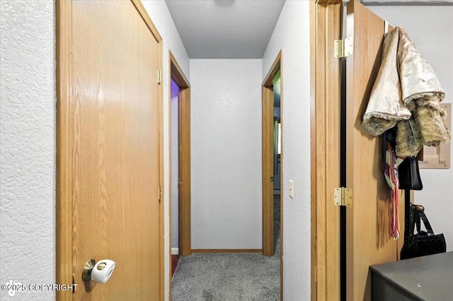 1060 E Mcadoo Way, Wasilla, AK 99654 - photo 11