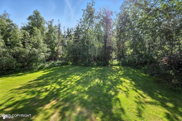 1060 E Mcadoo Way, Wasilla, AK 99654 - photo 61