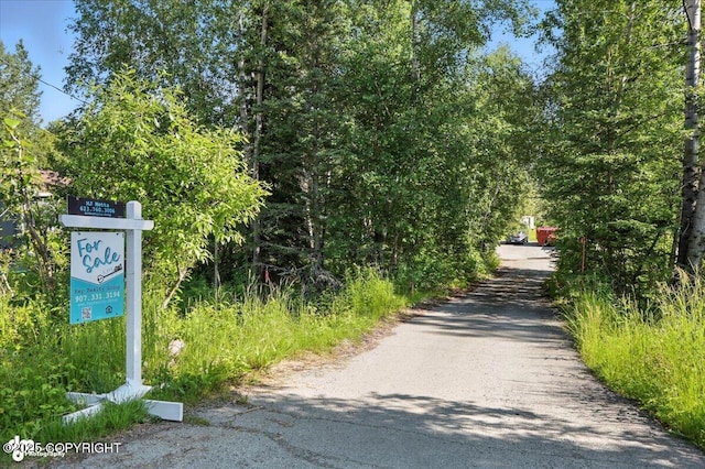 1060 E Mcadoo Way, Wasilla, AK 99654 - photo 65