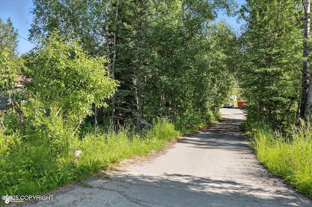 1060 E Mcadoo Way, Wasilla, AK 99654 - photo 66