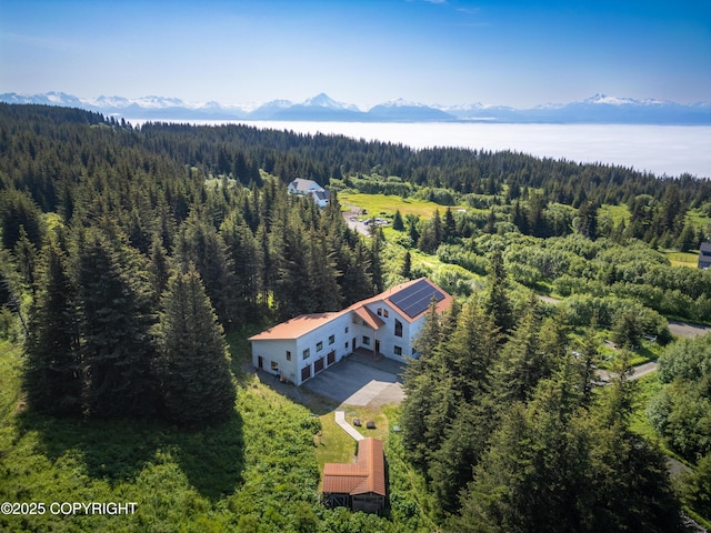 2500 W Highland Dr, Homer, AK 99603 - view of subject property featuring a forest and mountains