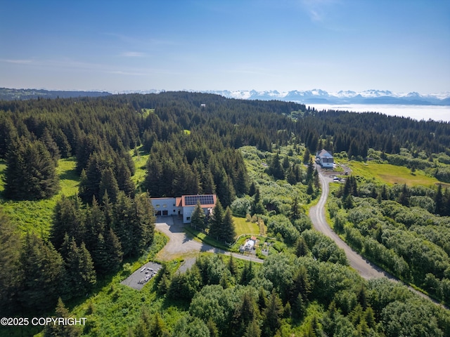 2500 W Highland Dr, Homer, AK 99603 - aerial view of a heavily wooded area