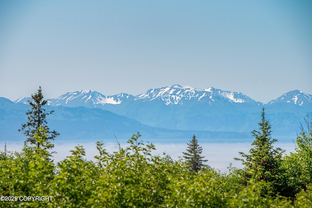 2500 W Highland Dr, Homer, AK 99603 - view of mountain backdrop