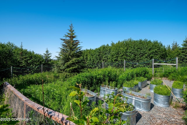 2500 W Highland Dr, Homer, AK 99603 - view of yard with a vegetable garden