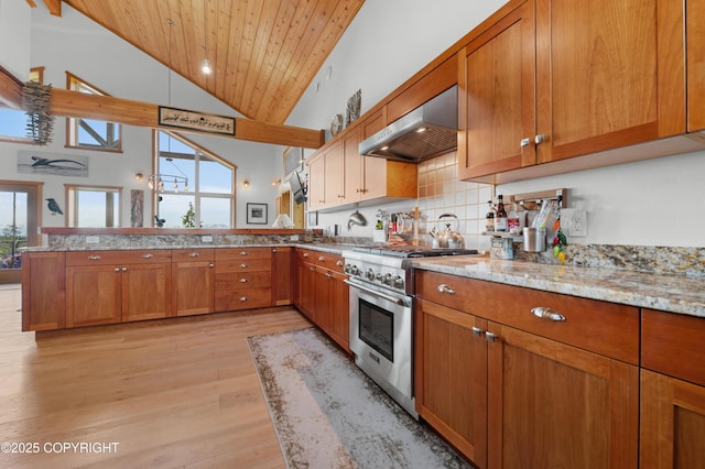 2500 W Highland Dr, Homer, AK 99603 - kitchen featuring high end stainless steel range oven, wall chimney exhaust hood, a peninsula, light wood-style flooring, and brown cabinetry