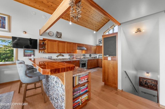 2500 W Highland Dr, Homer, AK 99603 - kitchen featuring extractor fan, high end stainless steel range, open shelves, brown cabinetry, and healthy amount of natural light