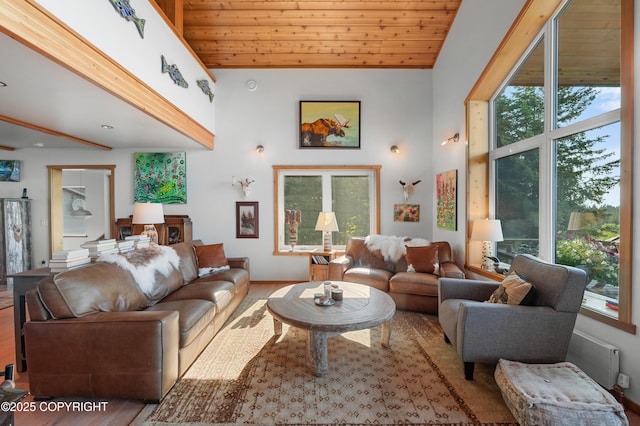 2500 W Highland Dr, Homer, AK 99603 - living area with healthy amount of natural light, wood finished floors, wooden ceiling, and lofted ceiling