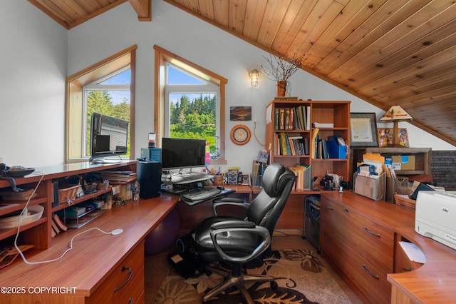 2500 W Highland Dr, Homer, AK 99603 - office space featuring lofted ceiling and wooden ceiling