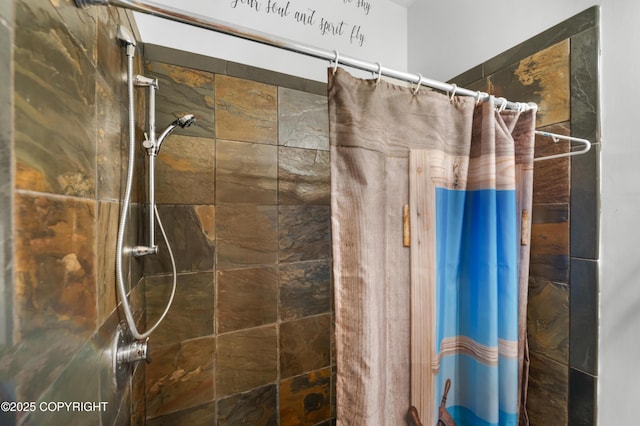 2500 W Highland Dr, Homer, AK 99603 - full bathroom with tiled shower