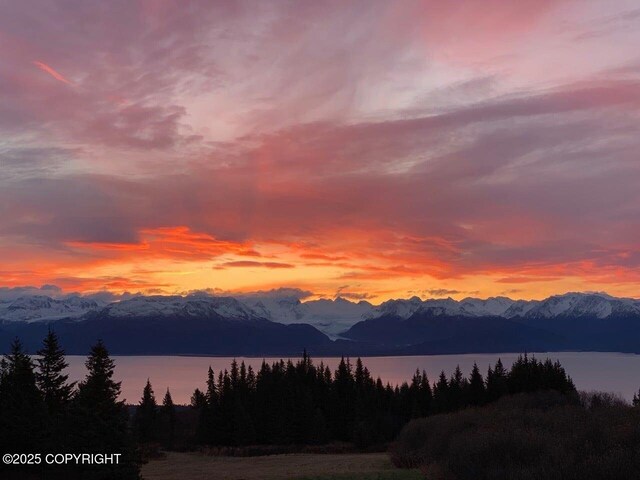 2500 W Highland Dr, Homer, AK 99603 - mountain view with a nearby body of water