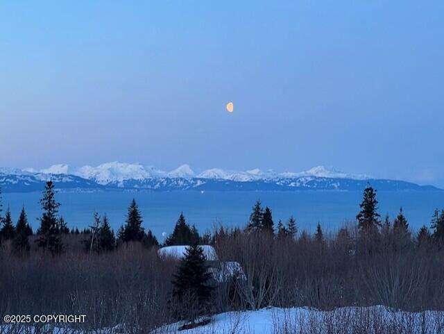 2500 W Highland Dr, Homer, AK 99603 - view of mountain background