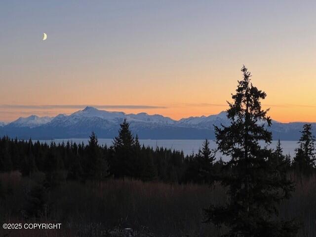 2500 W Highland Dr, Homer, AK 99603 - mountain view with a forest